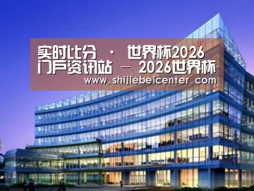 案例展示五