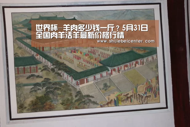 比赛集锦