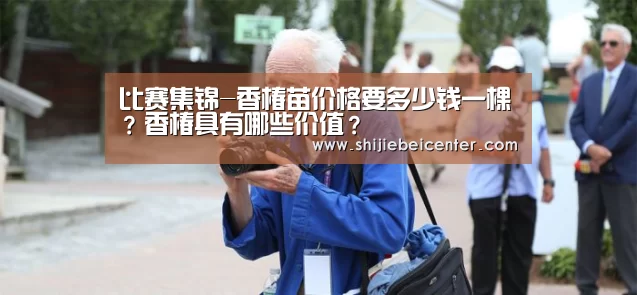 世界杯直播