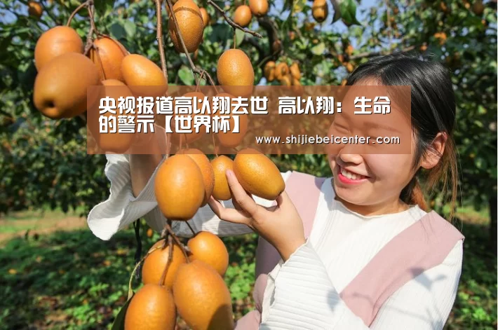 央视报道高以翔去世 高以翔:生命的警示【世界杯】(图3) 比赛集锦