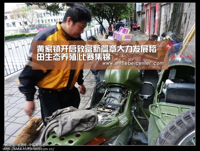 黄家镇开启致富新篇章大力发展稻田生态养殖|比赛集锦(图2) 实时比分