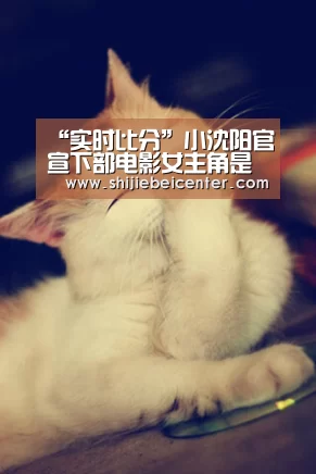 “实时比分”小沈阳官宣下部电影女主角是老婆 喊话减肥20斤(图1) 世界杯直播