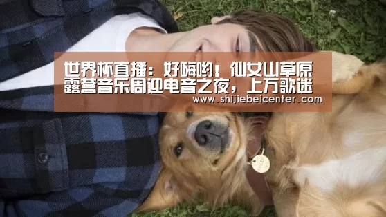 世界杯直播:好嗨哟!仙女山草原露营音乐周迎电音之夜,上万歌迷雨中狂欢(图1) 世界杯
