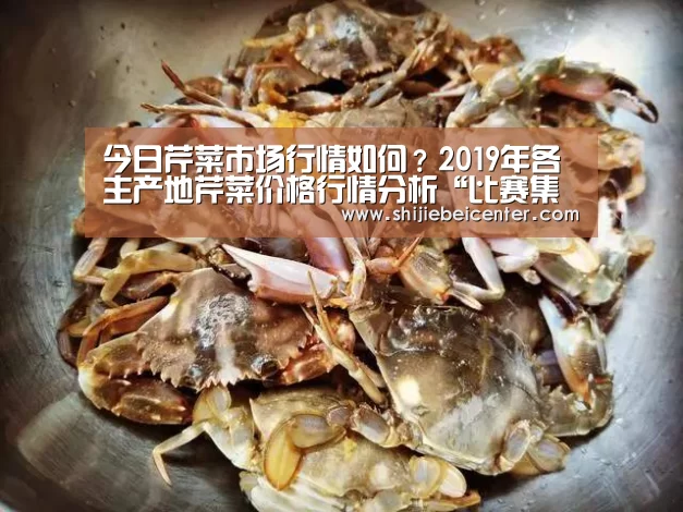 今日芹菜市场行情如何?2019年各主产地芹菜价格行情分析“比赛集锦”(图2) 世界杯