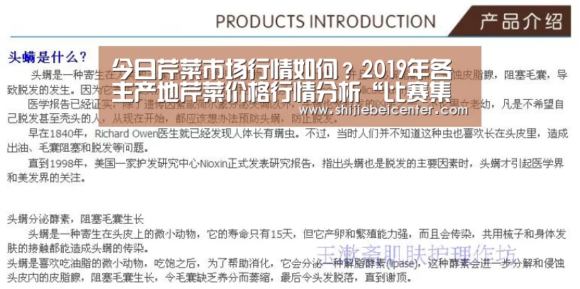 今日芹菜市场行情如何?2019年各主产地芹菜价格行情分析“比赛集锦”(图1) 世界杯直播