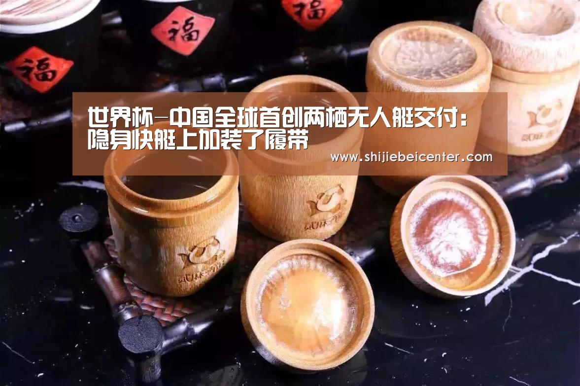 世界杯-中国全球首创两栖无人艇交付:隐身快艇上加装了履带(图3) 世界杯直播