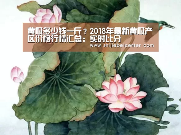黄瓜多少钱一斤?2018年最新黄瓜产区价格行情汇总:实时比分(图2) 比赛集锦